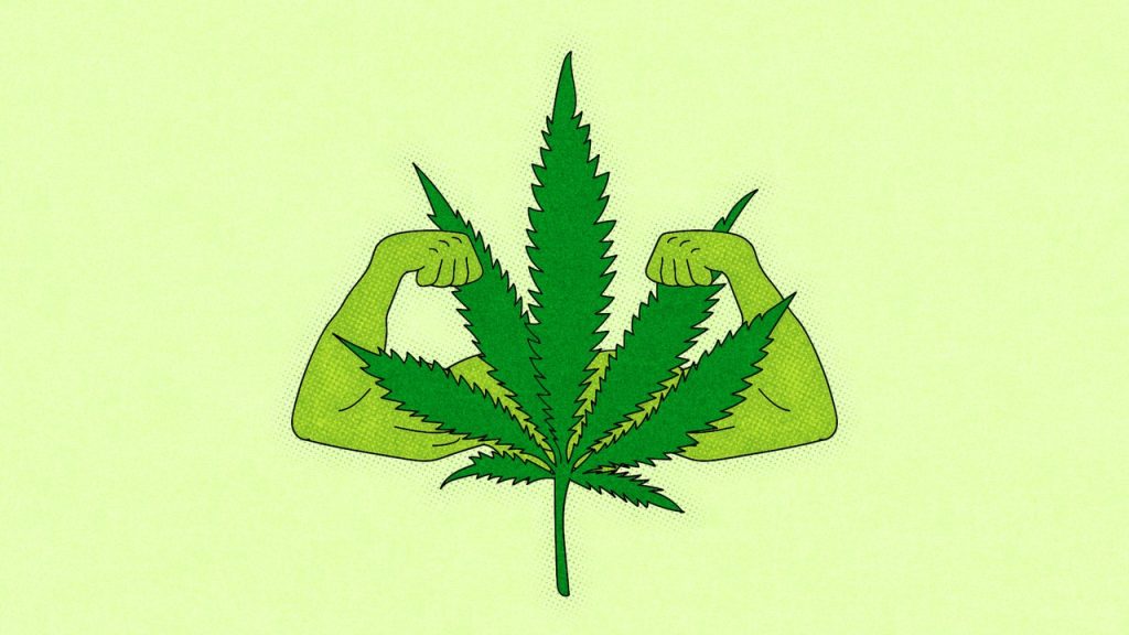 The Surprising Benefits Of Marijuana Edibles - READ HERE!