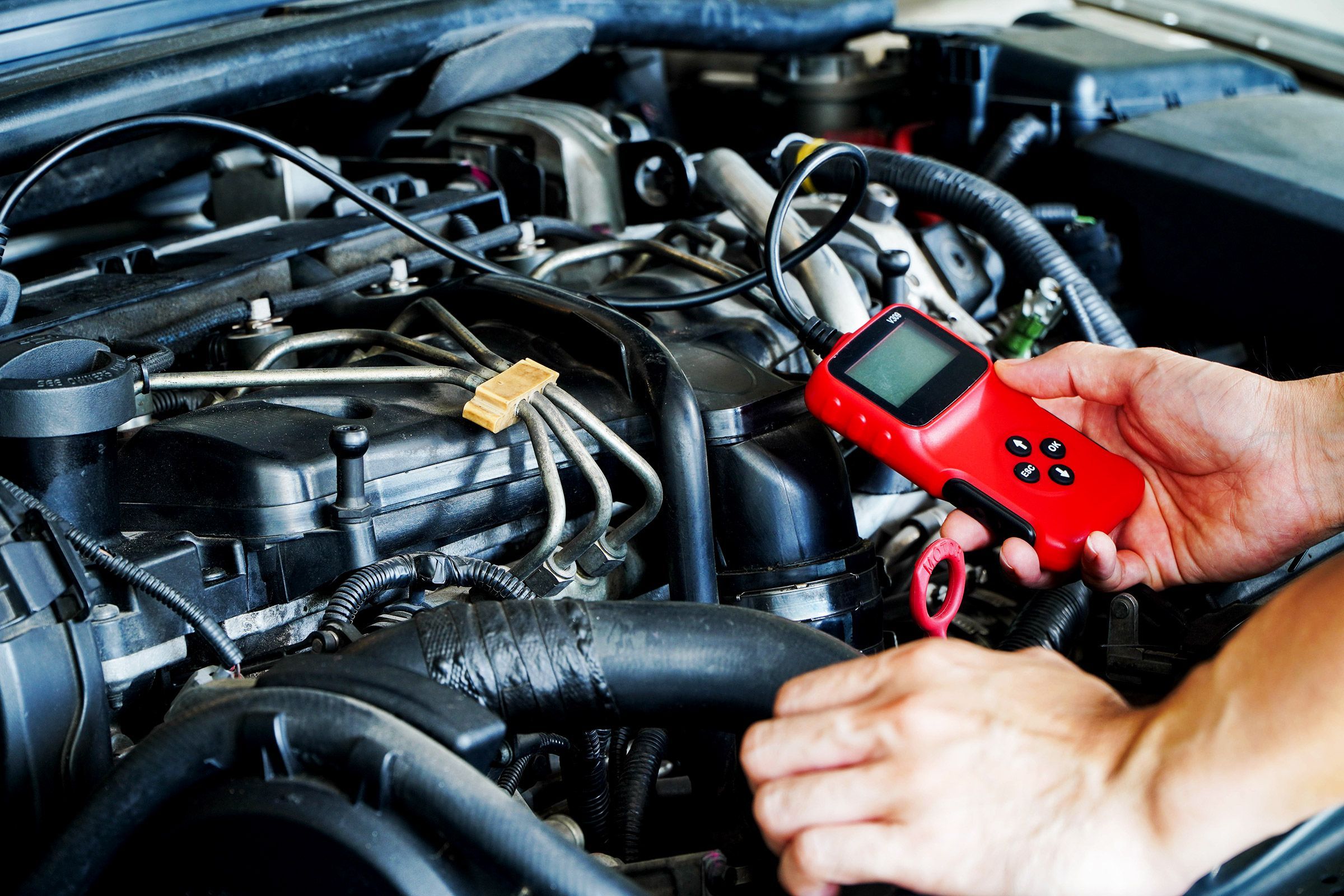 cheap carfax report